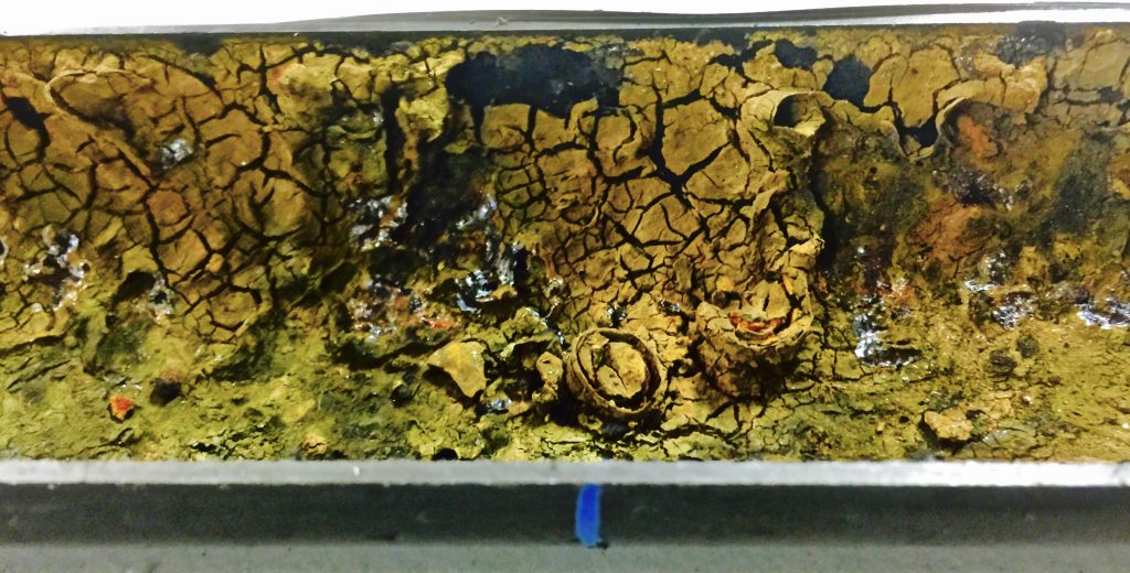 Tubing MIC Bacterial Corrosion in Fire Piping - US Corrosion