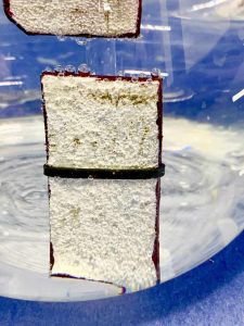 Immersion Corrosion Testing